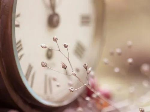 共度好时光作文600字通用62篇,共度美好时光作文450字