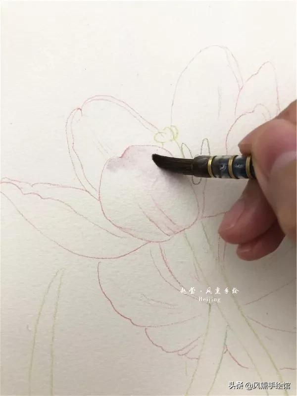 怎么用水彩笔画郁金香教程,粉色水彩郁金香怎么画图片