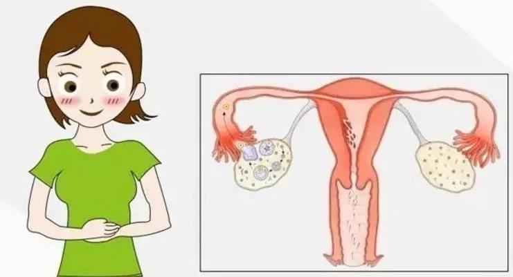 要怎么治疗不孕,不孕症中西医结合诊疗方案