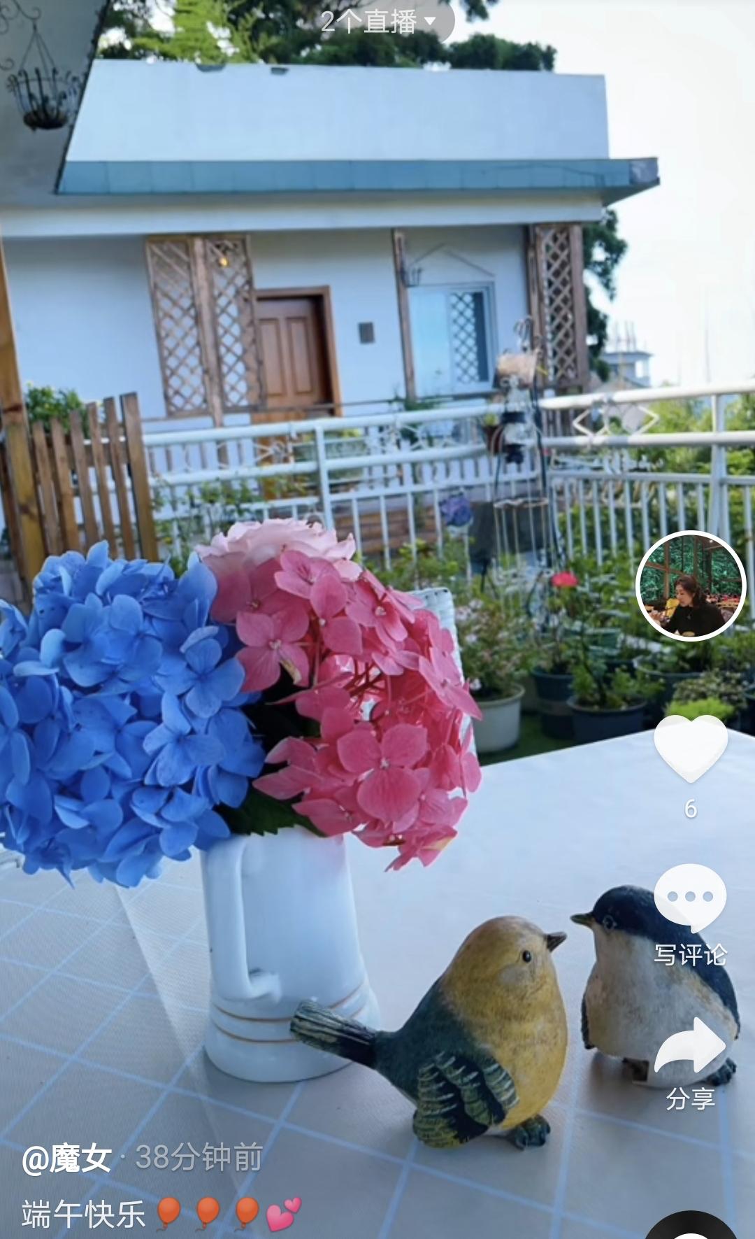 陈赫晒一家四口全家福,陈赫全家出游妈妈晒照其乐融融