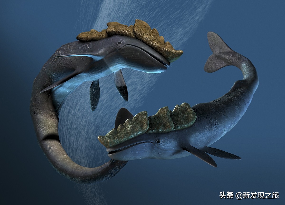 生物进化史最具代表的事件,生物进化史的意义