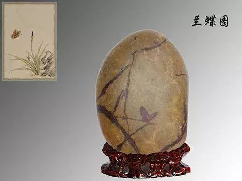 捡到这种石头千万别扔价值2亿,河里捡到的价值不菲的石头