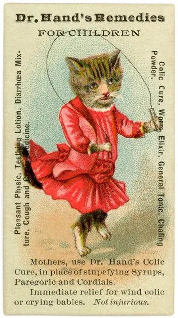 为什么古早广告会出现猫,为何古早广告中经常出现猫