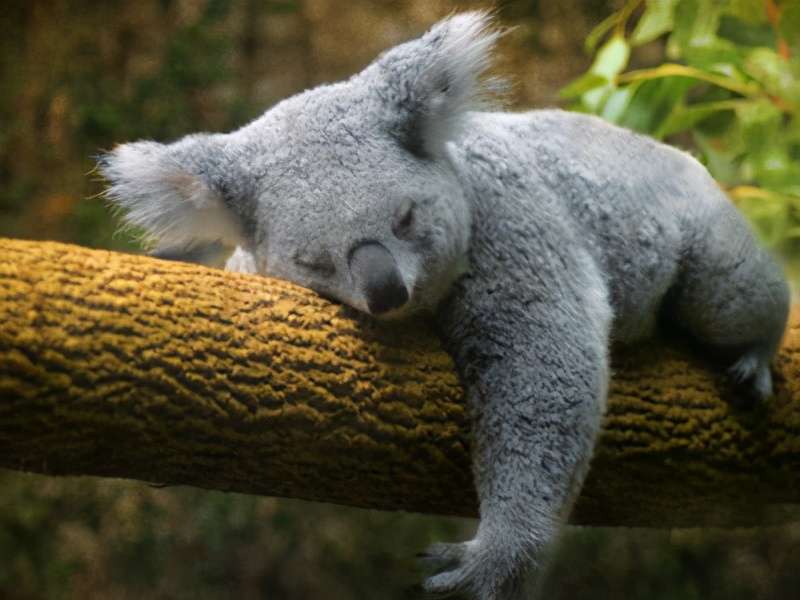 奇妙知识大科普,5个奇葩冷知识颠覆认知