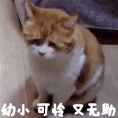 百度贴吧大规模*帖删**!你2017年之前发过的帖子全部消失?