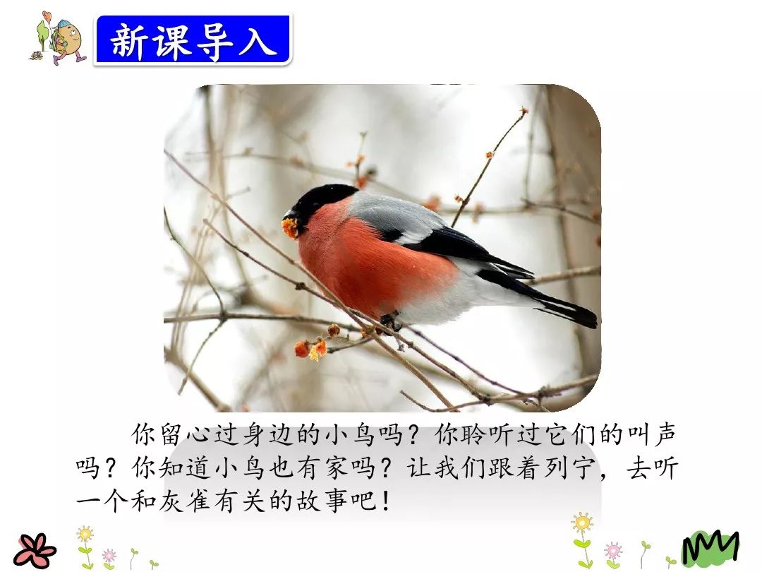 三年级上册26课灰雀的课后词语,三年级26课灰雀生字组词加拼音