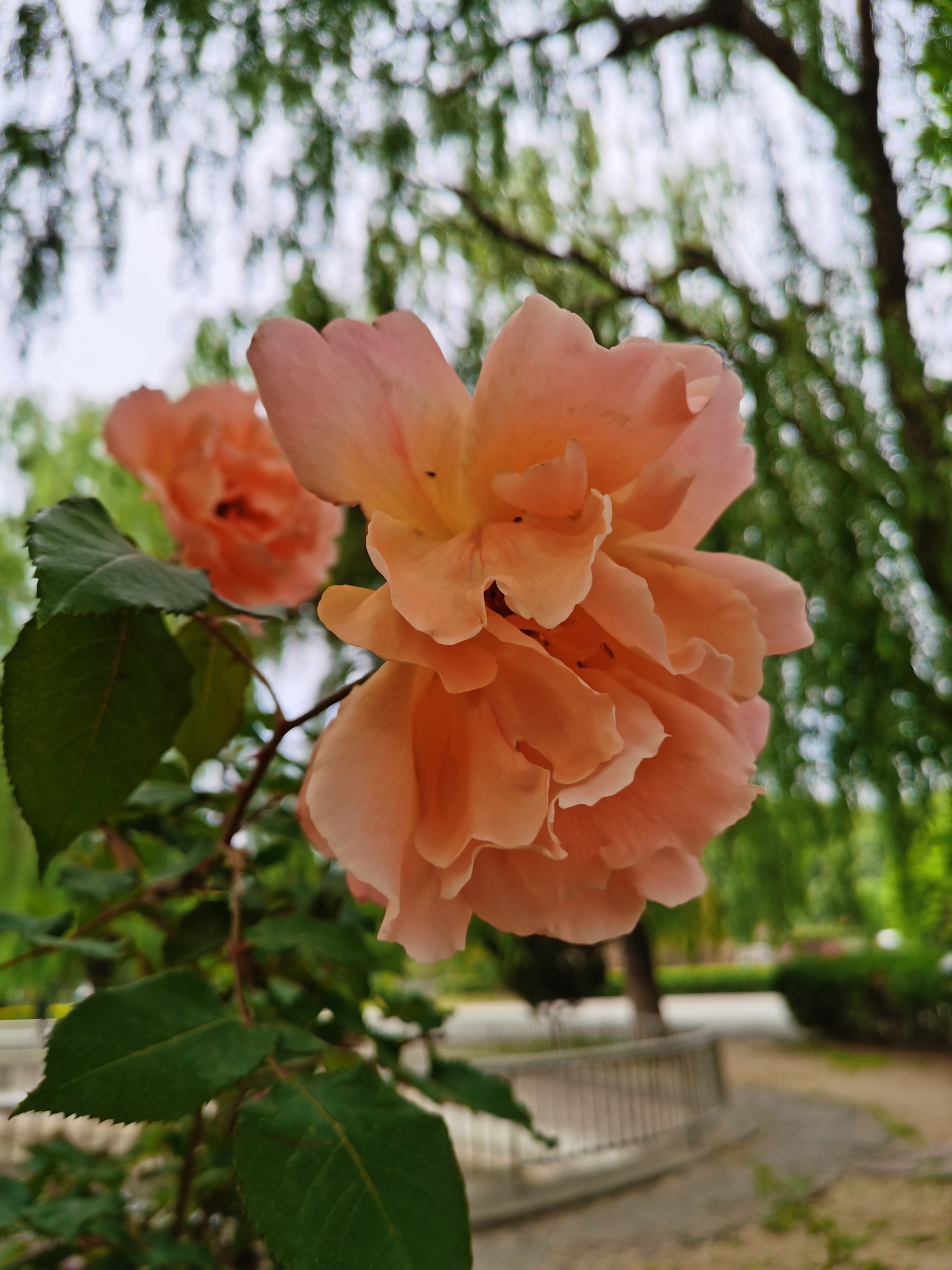 143.读别人文字，长自己见识，10段原创扎心话，但求你1条不中