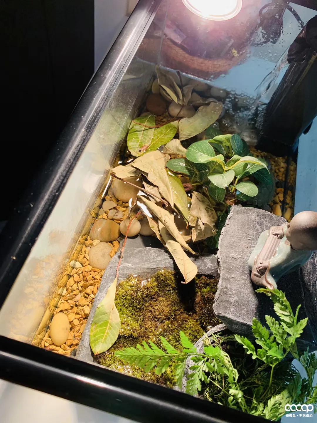 小金刚108配饰方法,108个小金刚用什么配饰