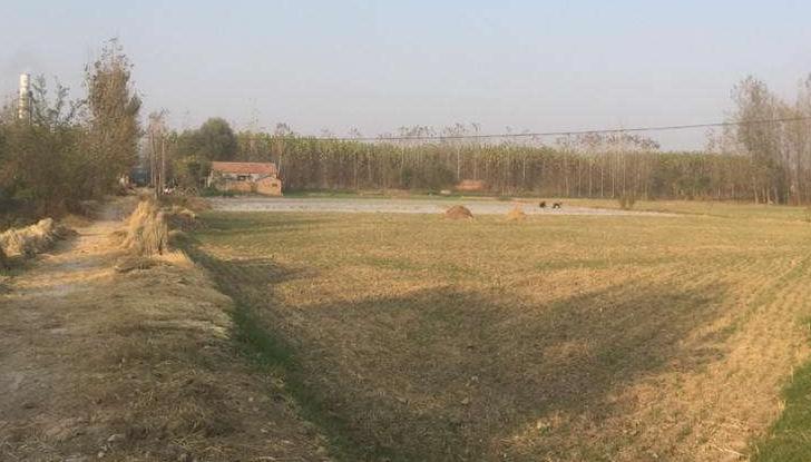 鲁隐公观鱼台在哪里,齐鲁地名探究金乡