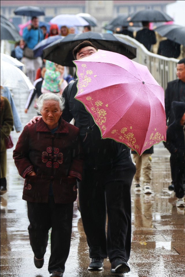 春雨图,春雨照片真实图