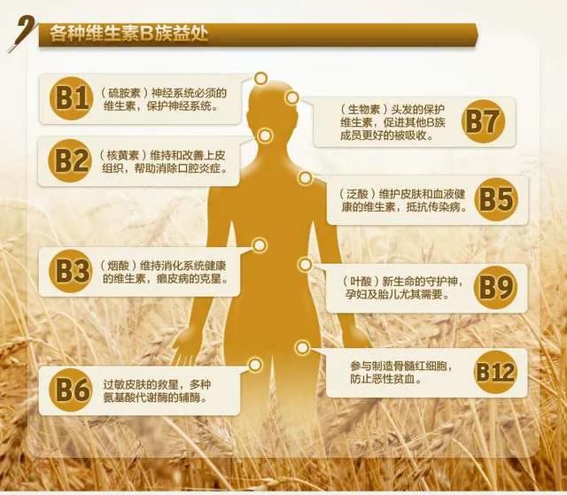 你缺少什么维生素，快来对照看看吧！