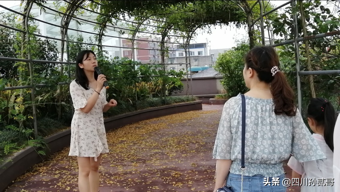 雪宝奶牛场,参观雪兰牛奶工厂心得体会