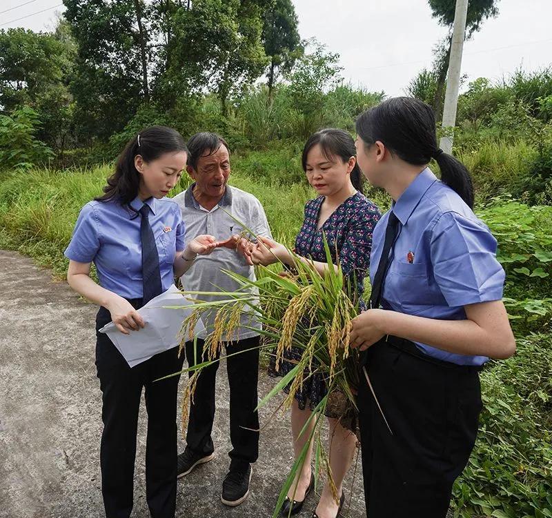 鍏泭璇夎瀹堟姢缇庡ソ鐢熸椿涓撻」鐩戠潱,瀹堟姢缇庝附瀹跺洯鍏泭璇夎