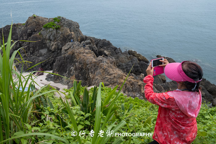 这个荒岛超多海胆和鲍鱼,但不能抓只能看,登岛还必须入境香港