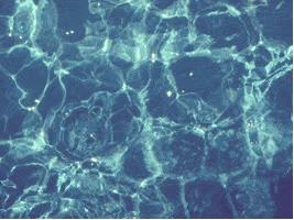 google最新产品,google品牌