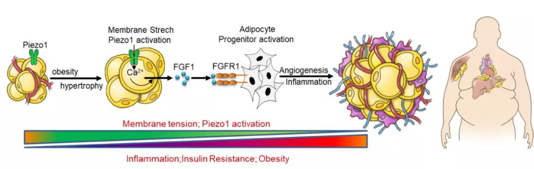 动力满满！交大这些科技硬实力，快来看！