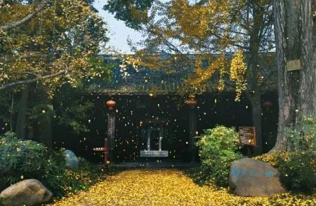 一泡而红!四川这座小城已火向全球,今天万人齐聚!