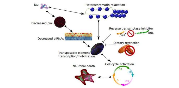 关注！西安交大在癌症、艾滋病、乙肝等疾病治疗研究中取得重大进展！