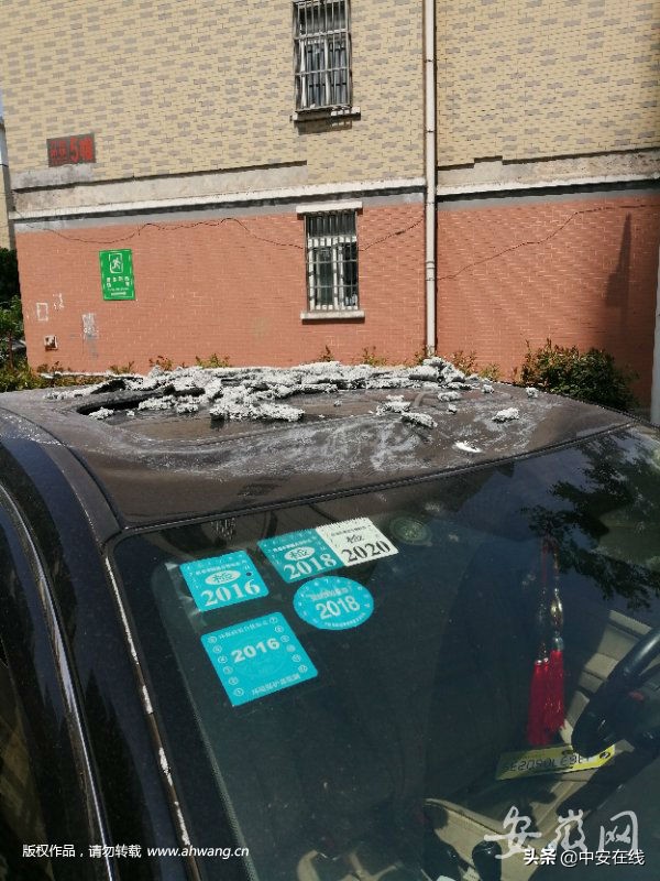 合肥外墙保温掉落事件,保温层脱落砸死路人后续