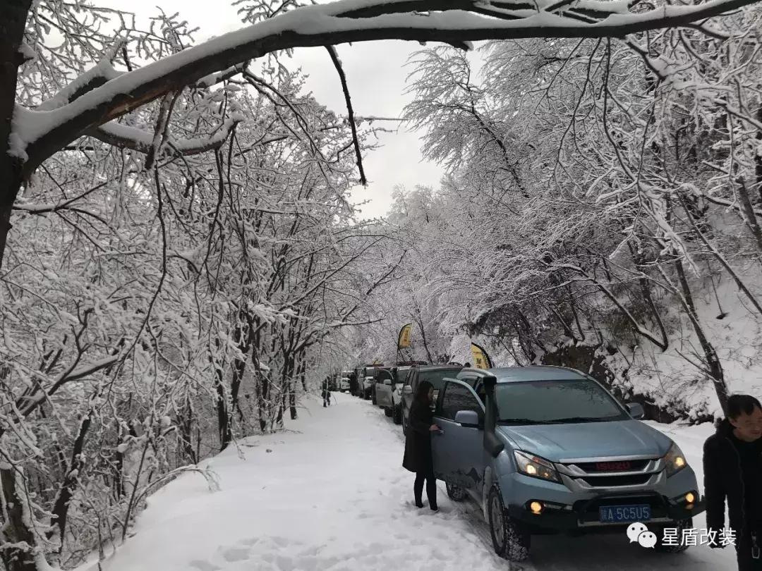 柴油车多少度会冻油,柴油车零下40度冻了
