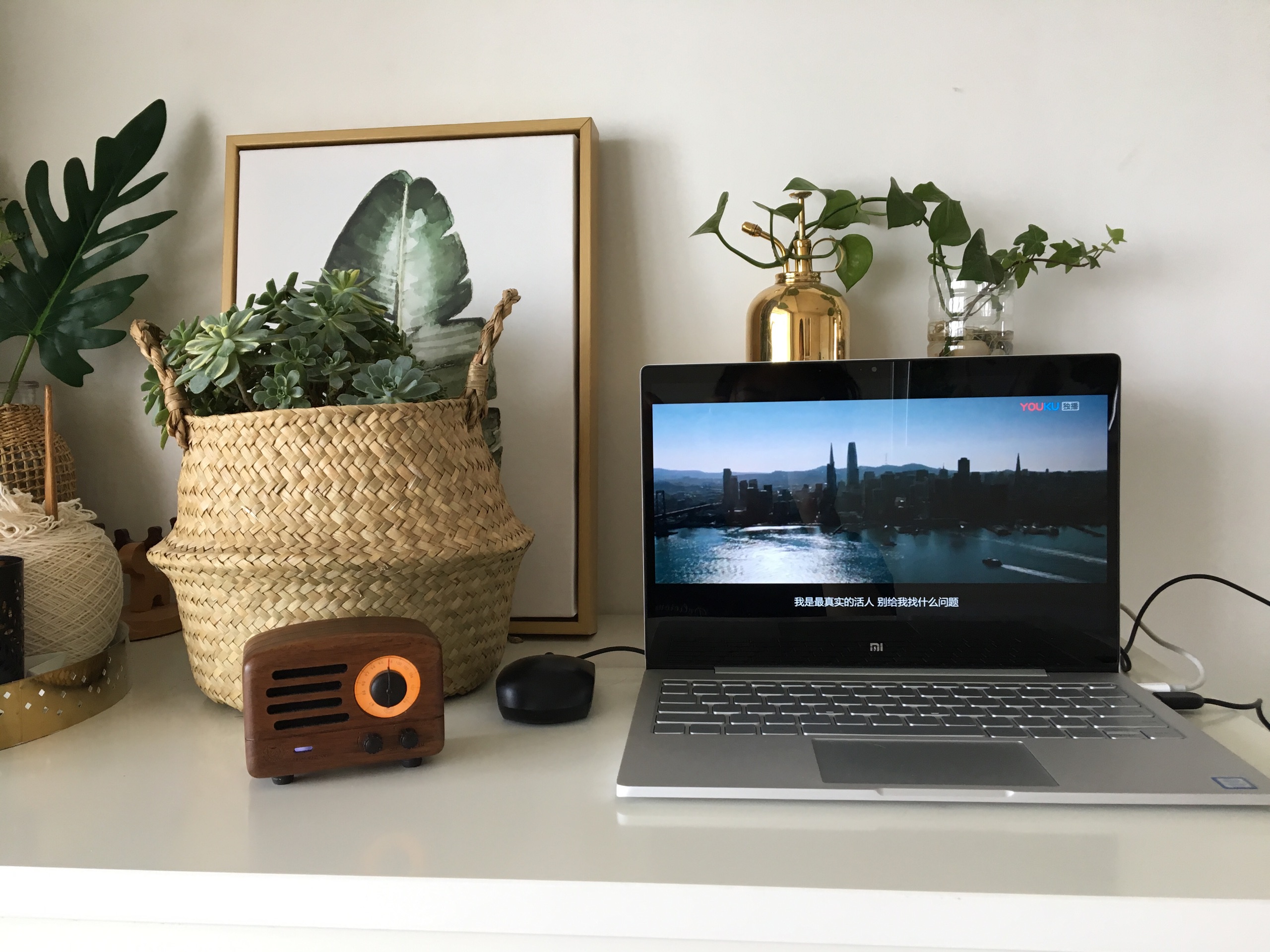 猫王收音机限量版,猫王新推出野性mini便携音箱