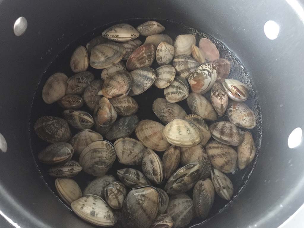 炒花甲需不需要焯水,炒花甲一定要焯水吗