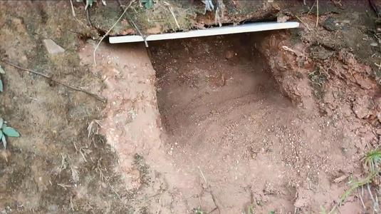 挖蜂洞诱蜂最佳方法,野外诱蜂洞的制作方法