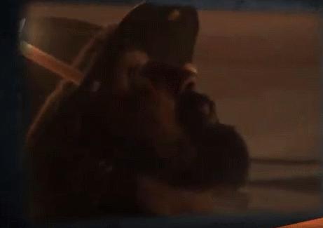 古往今来世事沧桑,古往今来沧桑岁月