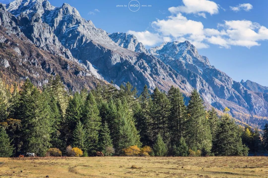 《有翡》取景地曝光！这个海拔3700，现场配救护车的地方要火