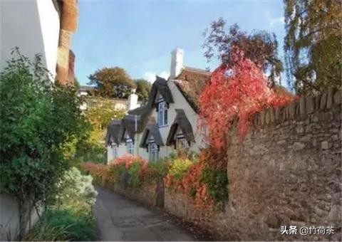 拥一颗素心守一方静谧什么意思,用一颗素心守一方静谧