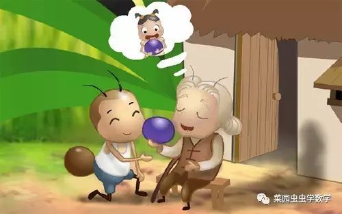 菜园种菜数学问题,菜地种菜数学问题