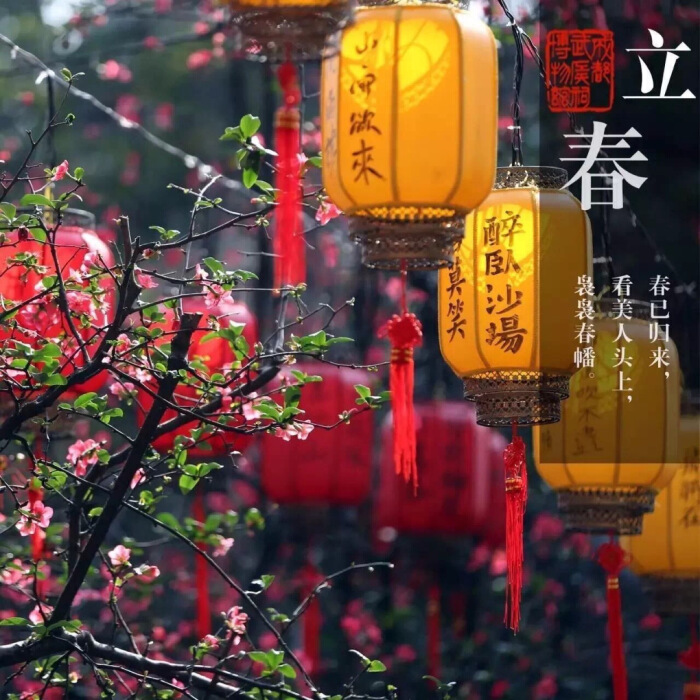 2020年是无春年还是双春年,2020年双春年是什么年