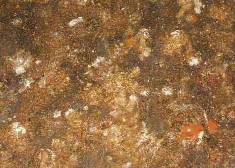 如何早期发现腺胃炎，和治疗治疗最佳方案