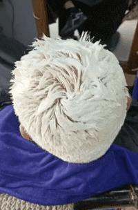 当了一天摄影师文案,当了一天的摄影师句子