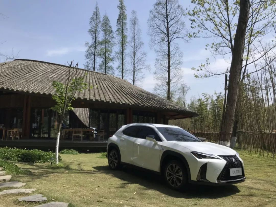 雷克萨斯ux有没有重大缺陷,买雷克萨斯ux的10大忠告