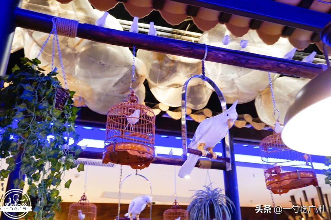 能吃*摸自**十三幺的粤菜馆，一个人来店里要吃四缸，都还不过瘾