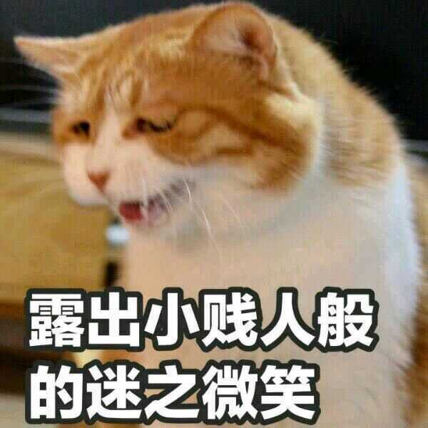 win7系统怎么更新win10系统,win7更新win10太慢怎么办