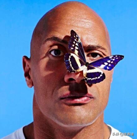 巨石强森和范迪塞尔一模一样,巨石强森大还是范迪塞尔大