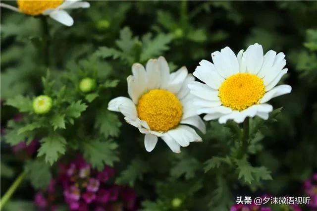 入冬的第一场大雨如约而至,一秒入冬让人措手不及还没买外套