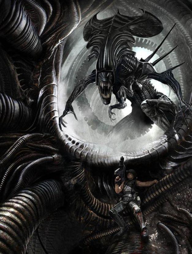 寮傚舰vs閾佽鎴樺+娣卞害瑙h,涔愰珮閾佽鎴樺+vs寮傚舰