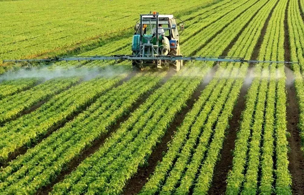 激素催熟着色副作用大！现在都用它