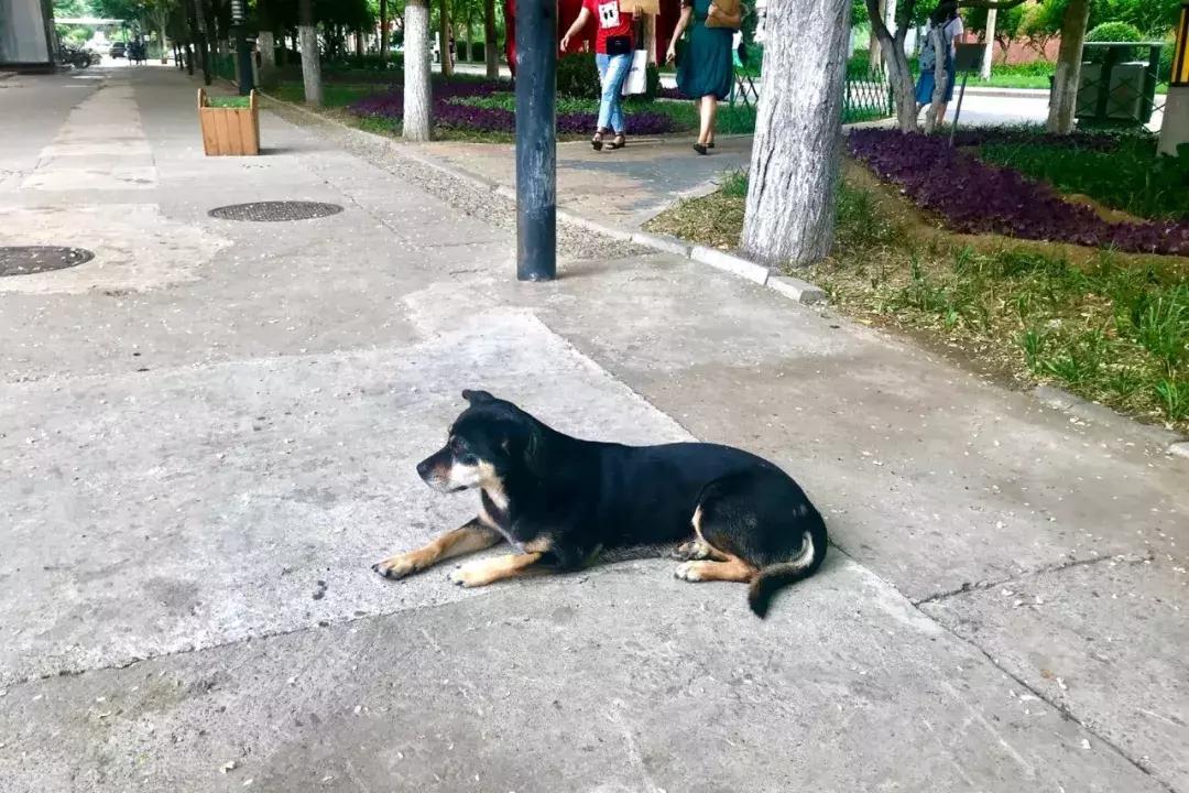 首经贸是个怎样的地方,首经贸有什么