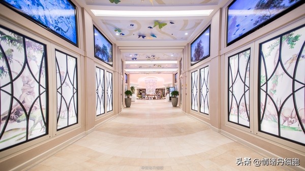 邮轮游选择哪个游轮好,邮轮旅游全攻略公主号