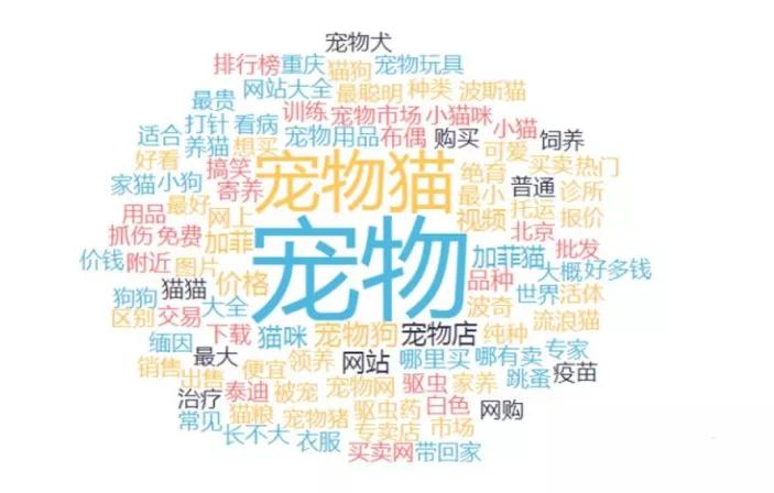 抖音视频带货账号定位,新媒体抖音账号定位