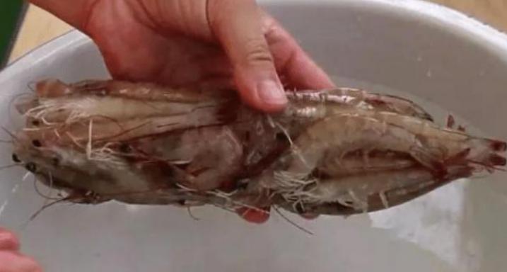 活虾冷冻保存最好的方法,活虾冷冻保存最简单方法