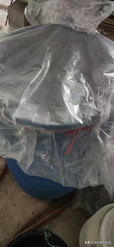 豆腐渣发酵饲养肉狗效果,发酵豆渣喂狗配方