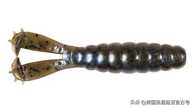 全国渔具展会2024时间表,全国渔具展2024