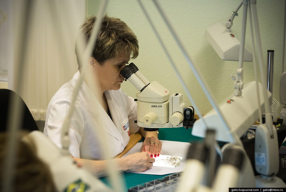 去俄罗斯挖金矿怎么样,真实钻石开采出来的样子