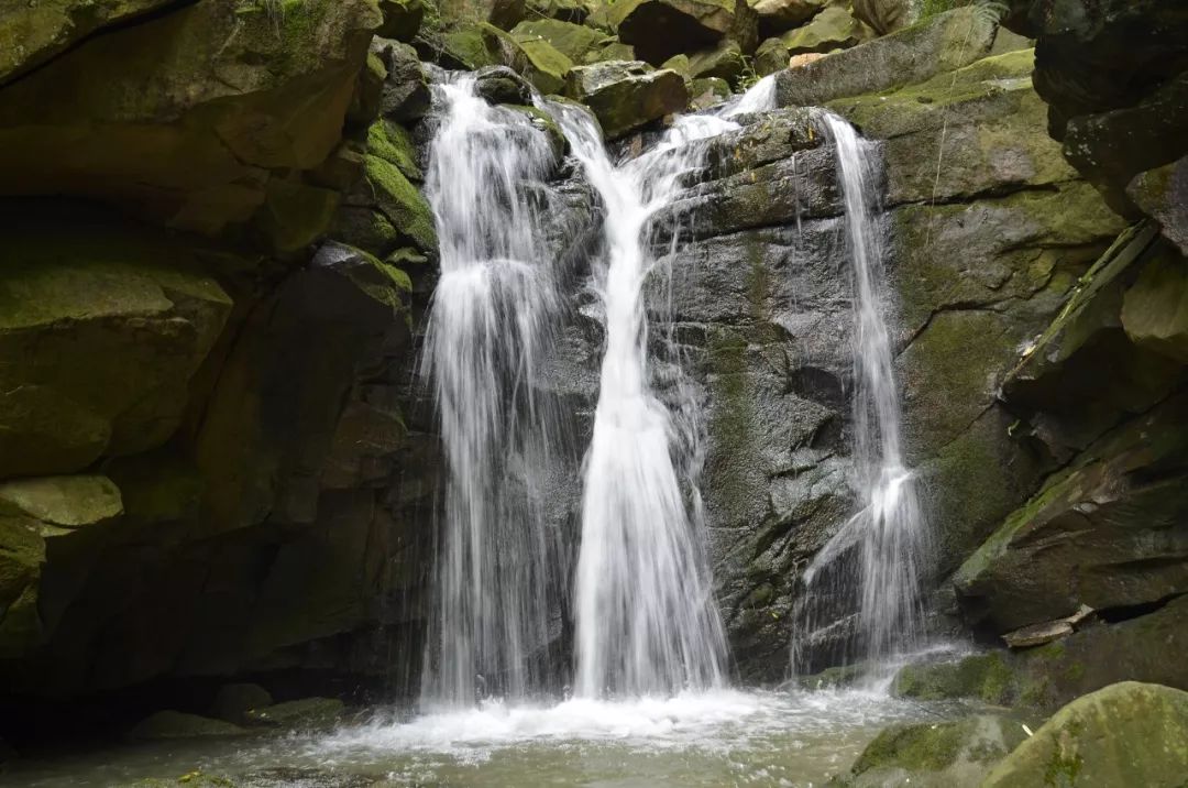 bw滤镜价格,bw滤镜哪里有正品