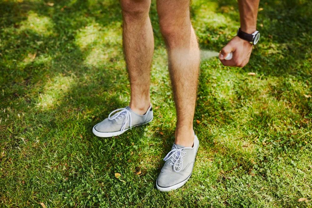 防蚊香小妙招大全,夏天蚊香害处小常识